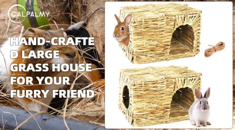 How to Create a Cozy Hideaway Area for Rex Rabbits