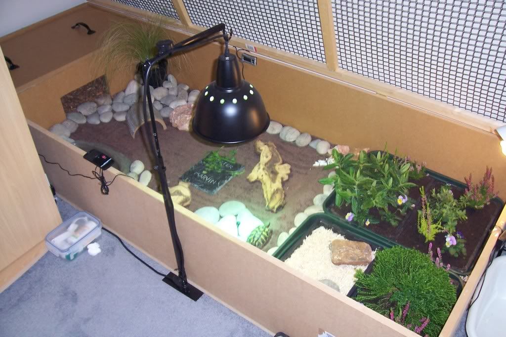 Lighting Preferences for Rex Rabbit Enclosures Indoors